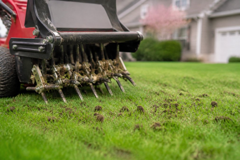 Benefits of Professional Lawn Aeration