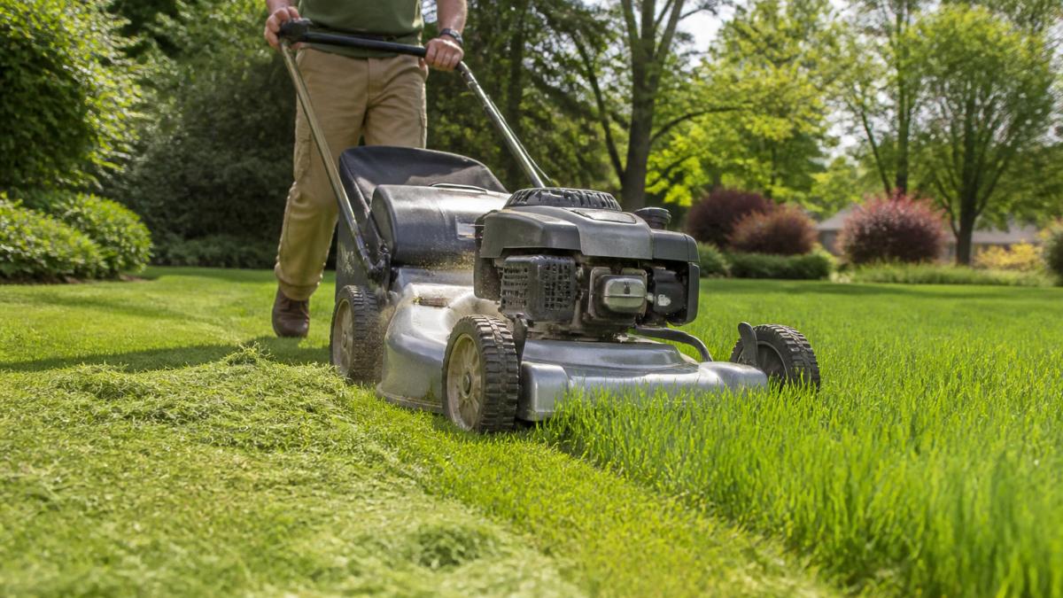 Benefits of Professional Lawn Mulching