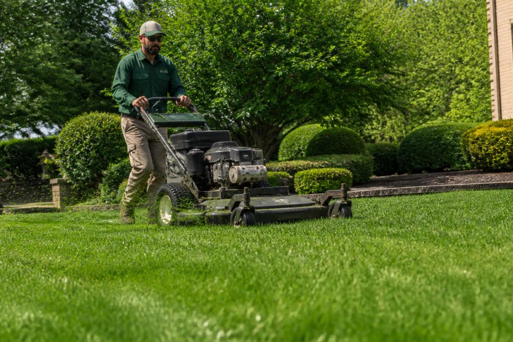 Professional landscaper using a mower for lawn mulching on green grass