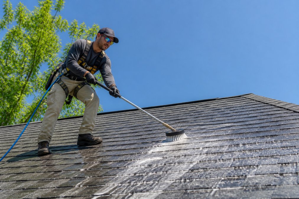 A professional technician in safety gear applying a low-pressure cleaning solution to a residential asphalt shingle roof with a soft brush, clear blue sky overhead