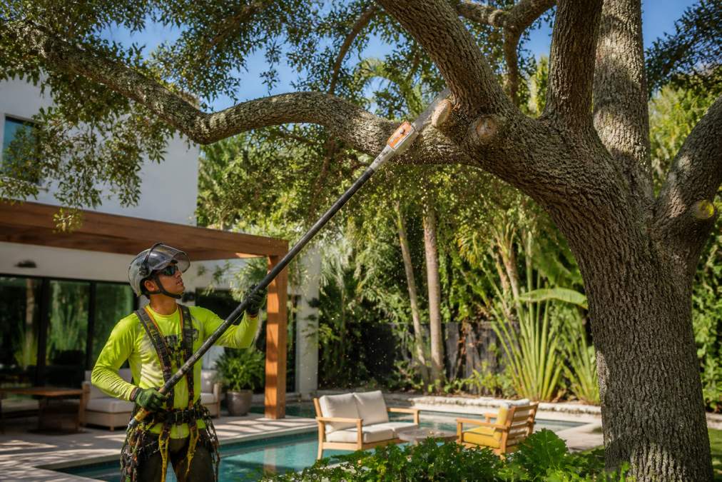 A professional arborist in safety gear using a pole pruner to trim a large oak tree in a lush Miami backyard with a modern patio and pool in the background