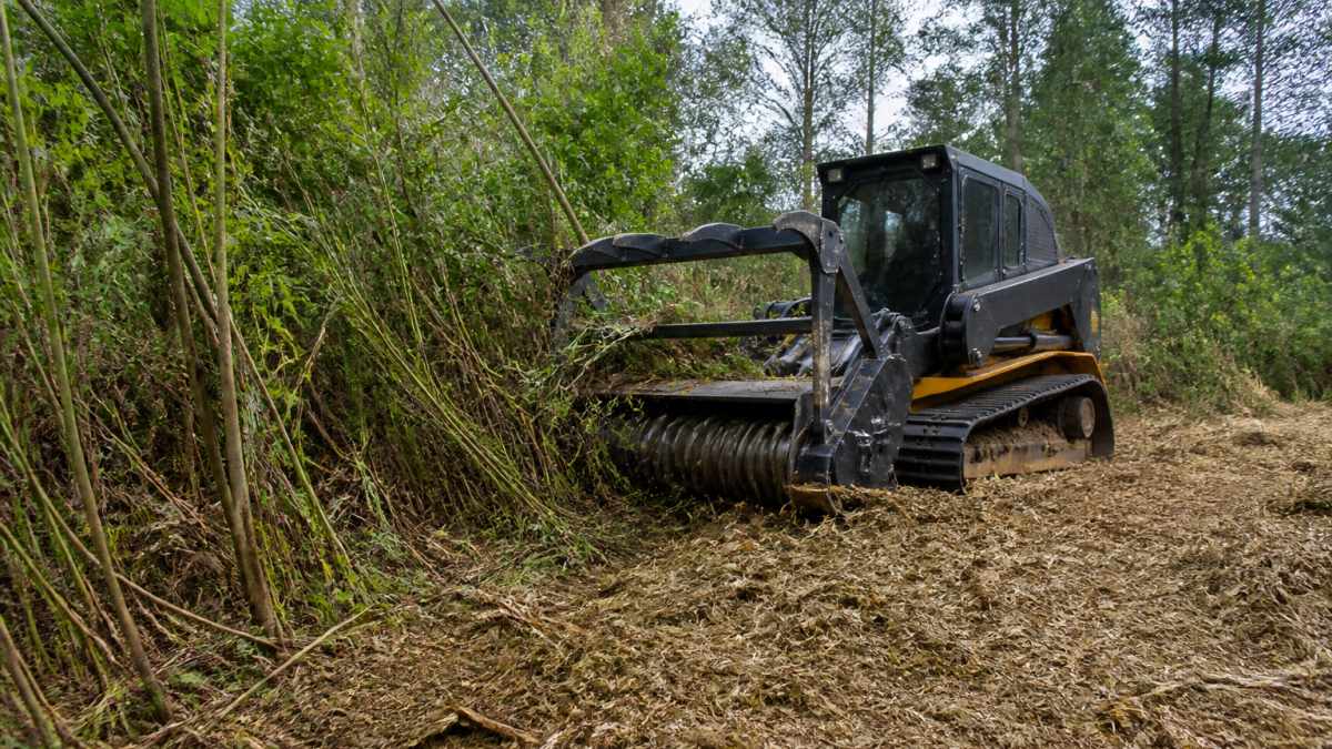 Infographic showing the process of clearing brush with forestry mulchers for the benefits of restoring old fields for hay