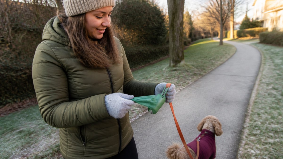 Dog owner on morning walk holding plant-based poop bags in a waste dispenser, demonstrating easy-open functionality with gloved hands in winter conditions