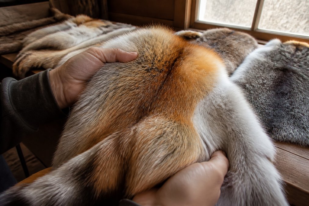 Hands holding a premium fox pelt with rich texture, a top choice among alternatives to etsy for fur.