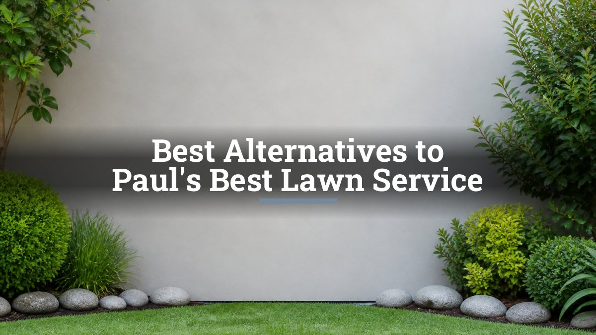 Best Alternatives to Paul's Best Lawn Service