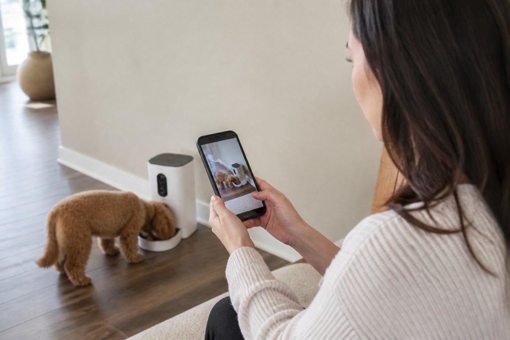 Pet owner checking a live video feed on their phone while their dog eats from one of the alternatives to petsafe feeders.