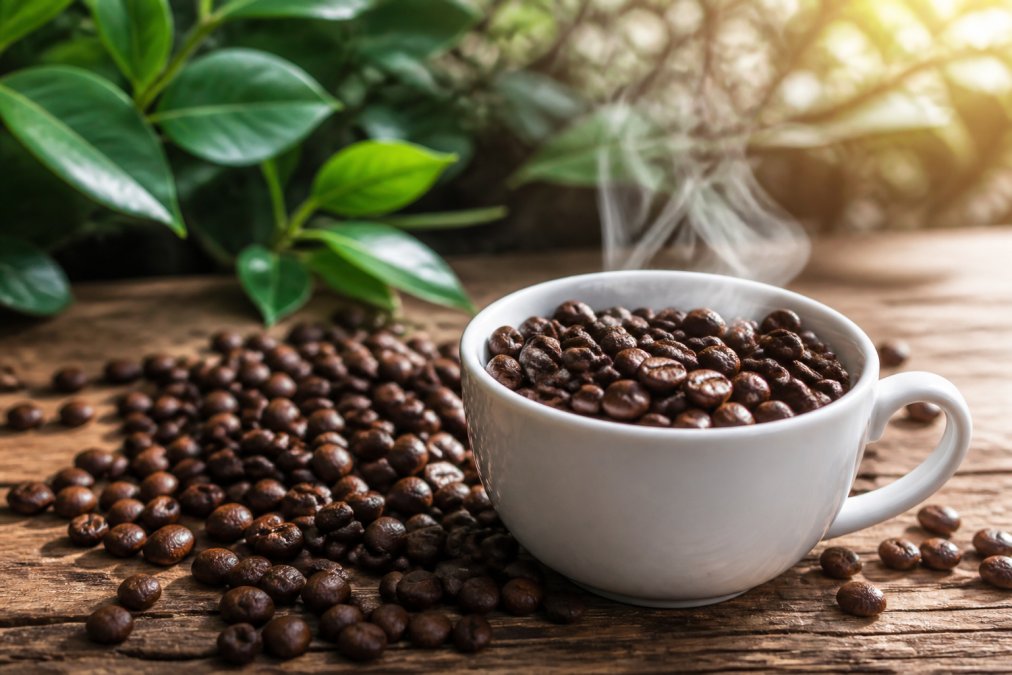 Close-up of artisan coffee beans in a white ceramic cup with steam rising, whole beans scattered on a wooden surface beside it, natural morning light