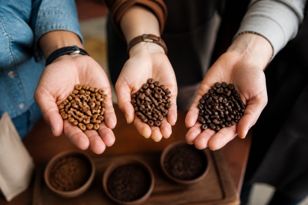 Close-up of hands holding freshly roasted coffee beans with varying roast colors from light cinnamon to dark chocolate brown, natural sunlight highlighting the distinct texture and color variations across light, medium, and dark roasts