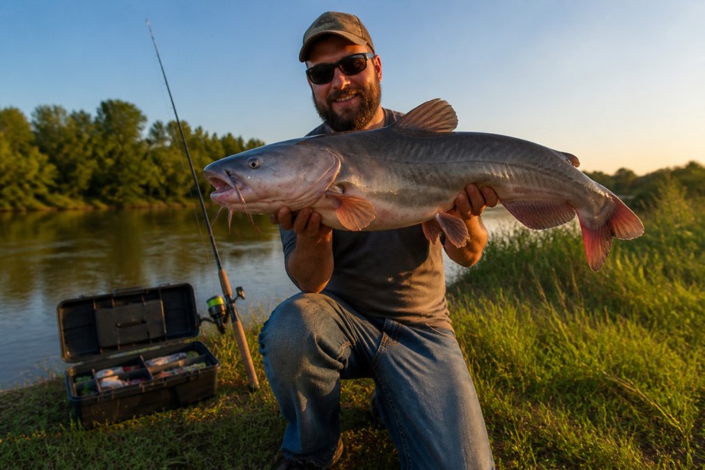 An angler holding a large catfish caught from a grassy riverbank, fishing rod and open tackle box visible behind them in warm afternoon sunlight