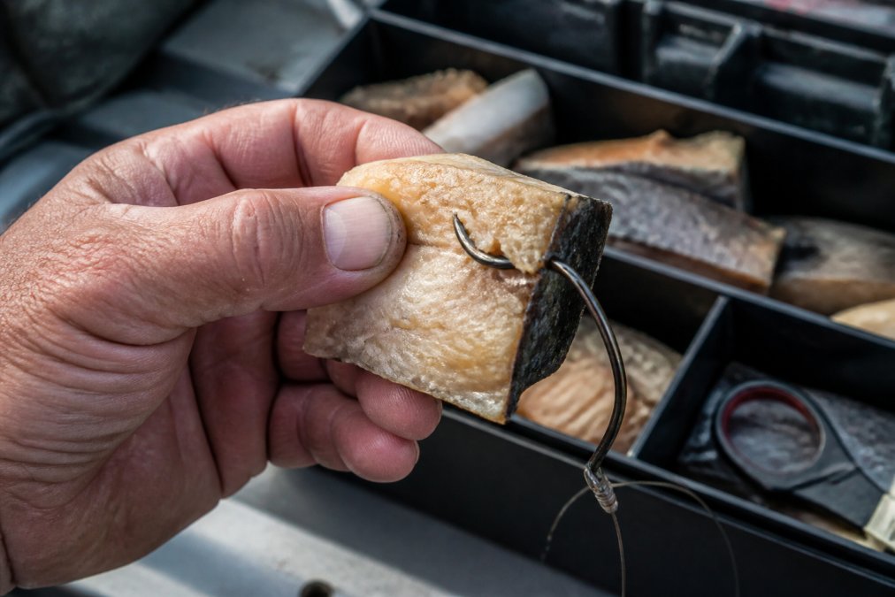 Close-up of an angler's weathered hand holding a large, thick chunk of preserved fish bait, threading a large circle hook through the meat against a tackle box background