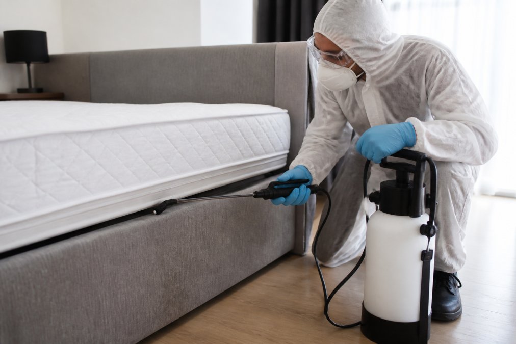 Best Bed Bug Exterminator: Choose the Right Service