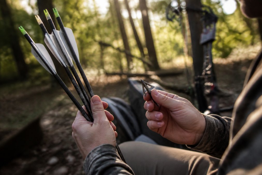 A hunter's hands inspecting carbon arrows and a fixed-blade broadhead in a sunlit forest clearing, checking fletching alignment
