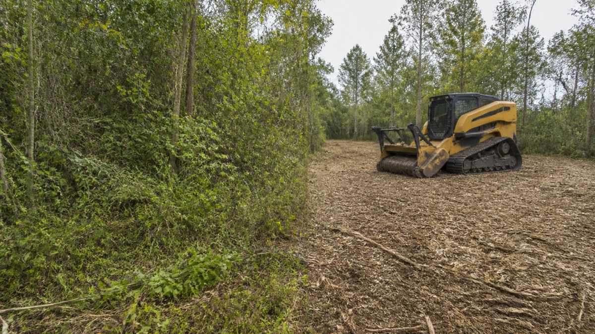 Infographic illustrating the best brush management for turkey habitat using forestry mulching to clear dense undergrowth.