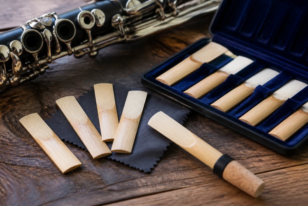 Best Clarinet Reeds for Beginners: 2026 Guide