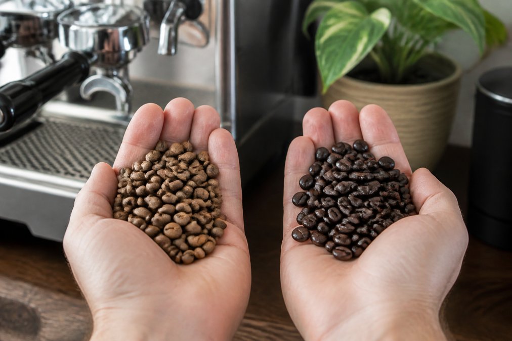 Hands holding two different coffee bean samples side by side, one lighter single origin bean and one darker blend bean, with espresso machine visible in background