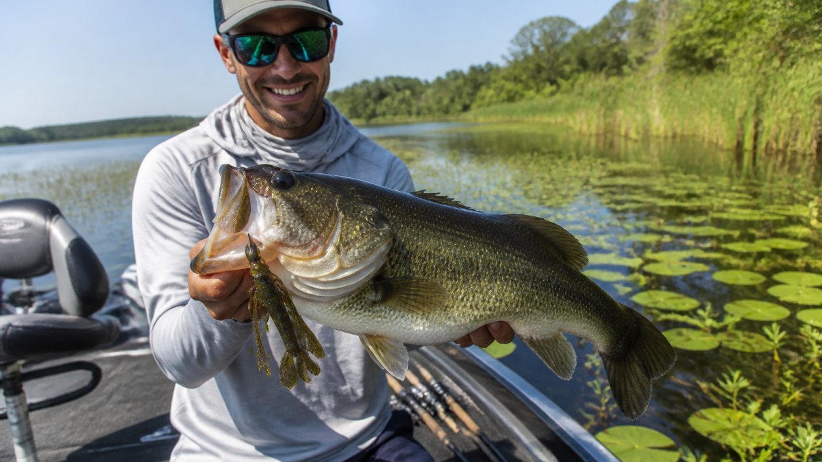 Angler in a boat holding a large bass caught on a creature bait near lily pads and shallow grass in bright summer sunlight