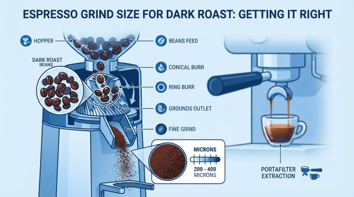 Professional illustration showing best dark roast coffee for espresso