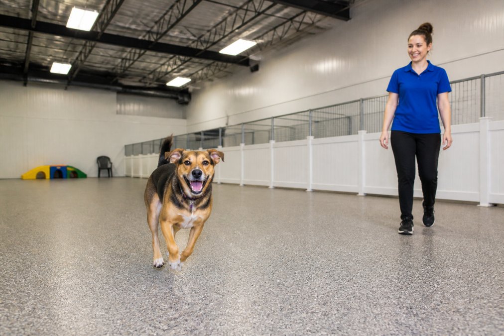 A happy mixed-breed dog running freely across a large, clean indoor play area at a modern pet boarding facility, with a smiling staff member in a blue polo watching nearby under bright overhead lighting