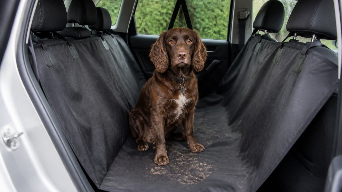 Medium-sized dog sitting on a waterproof hammock seat cover with muddy paw prints in a car back seat