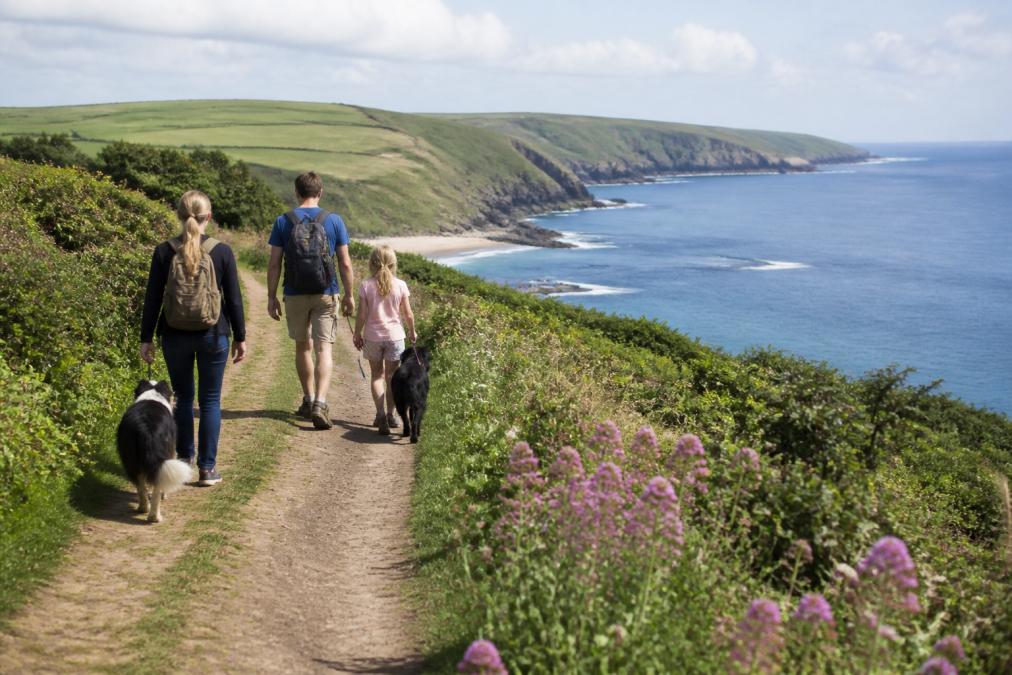 Expert tips illustration for South Devon for dog-friendly cottages south devon