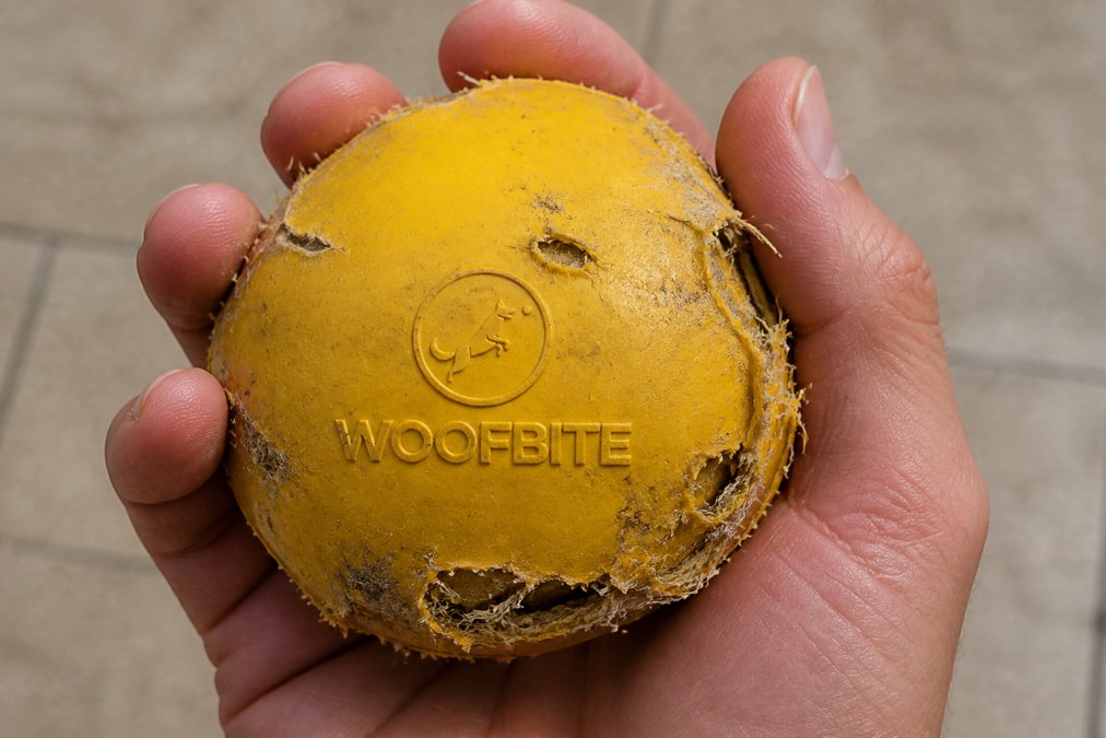 Close-up of a worn dog toy showing visible tears, fraying nylon edges, and material degradation patterns that indicate it requires replacement
