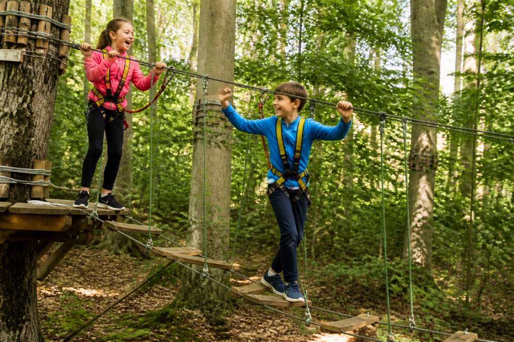 Two children wearing bright safety harnesses on a high ropes course in dense woodland, laughing as they navigate a rope bridge between wooden platforms, surrounded by tall beech trees in dappled afternoon sunlight