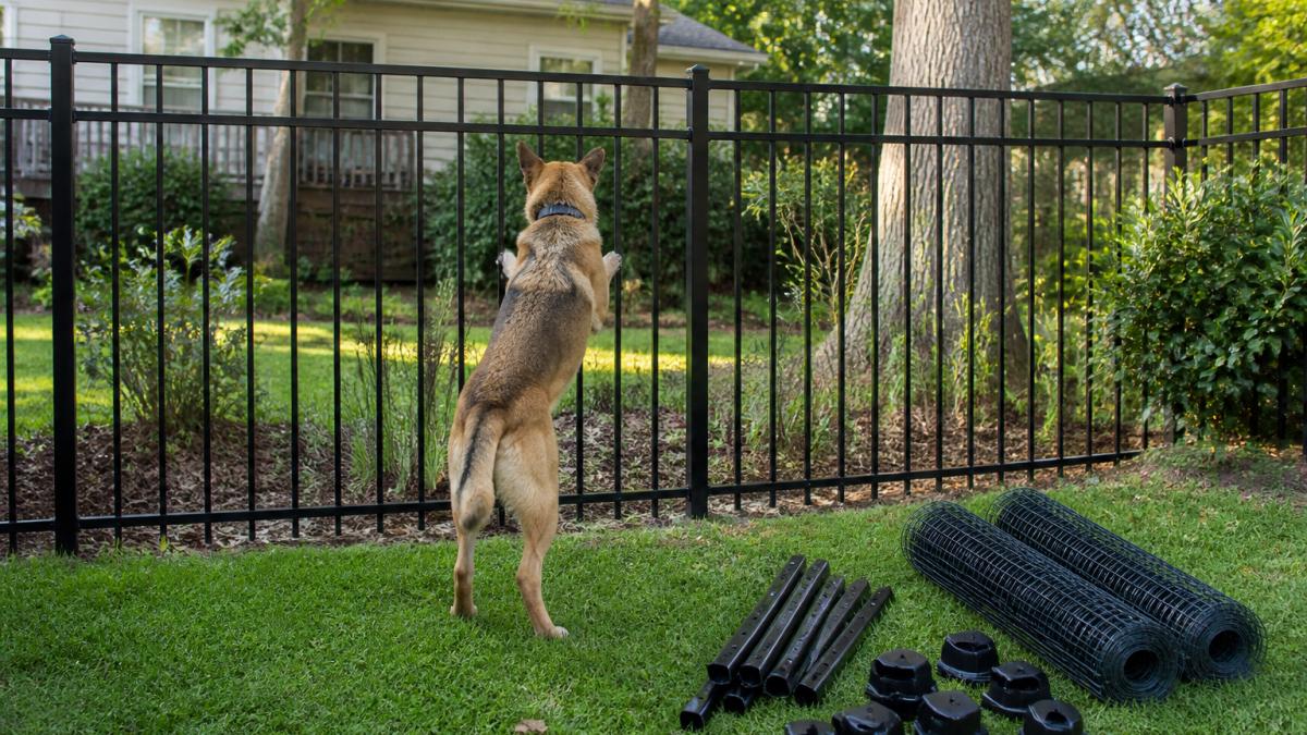Best Fencing for Active Dogs: Types & Installation