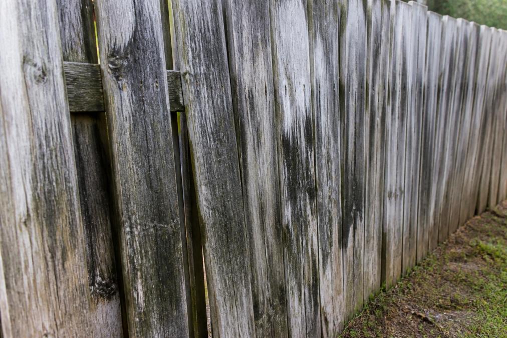 Close-up of weathered wood fence showing warping, discoloration, and moisture damage from humidity exposure on a Texas property