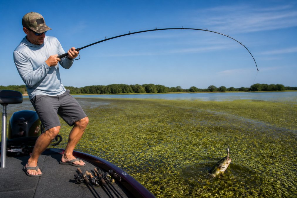 Angler pulling a large bass through thick heavy cover with a rod on a lake