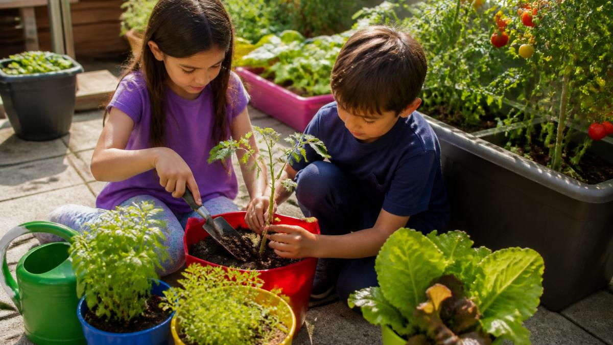 Children planting seedlings together in colorful containers on a sunny patio, with tomato plants, herb pots, and watering cans visible, natural afternoon light casting soft shadows