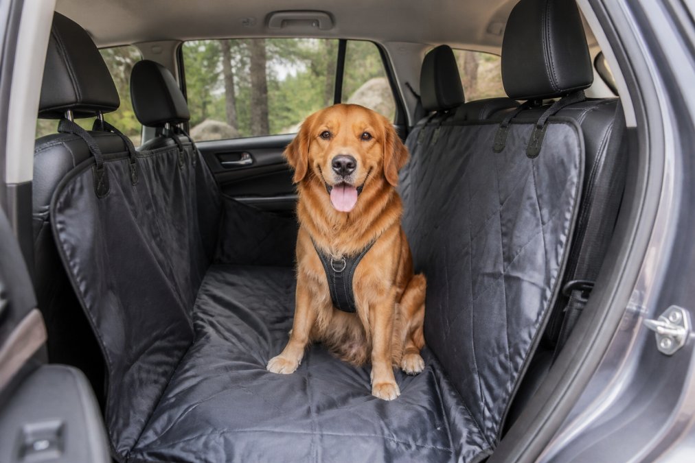 Interior of an SUV with a waterproof dog car seat cover protecting the back seat, showing a dog sitting safely in the covered area