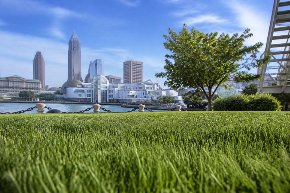Best Grass Types for Cleveland: A 2026 Guide