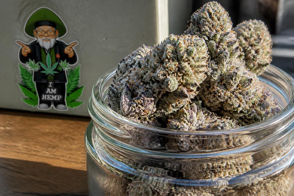 Infographic visualizing the potency and terpene profile of dense, purple-hued indoor grown THCa Gumbo flower buds