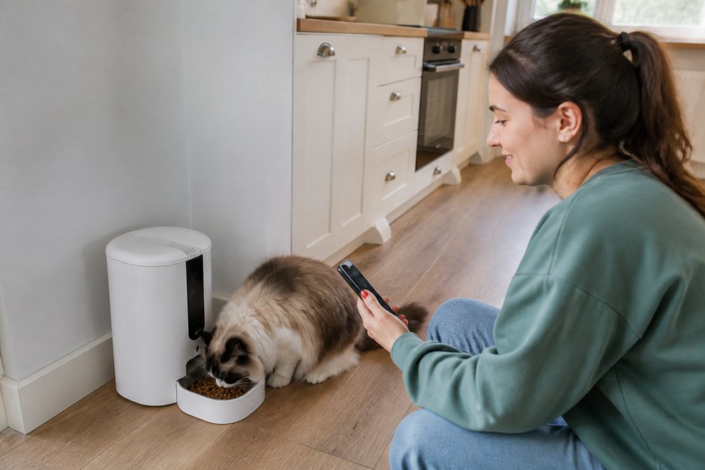 A cat eating from a white automatic pet feeder in a bright kitchen corner, with a smartphone showing the feeding app nearby