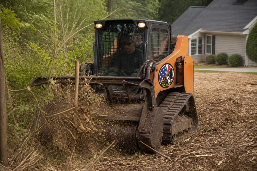 Professional illustration showing Professional for land clearing methods