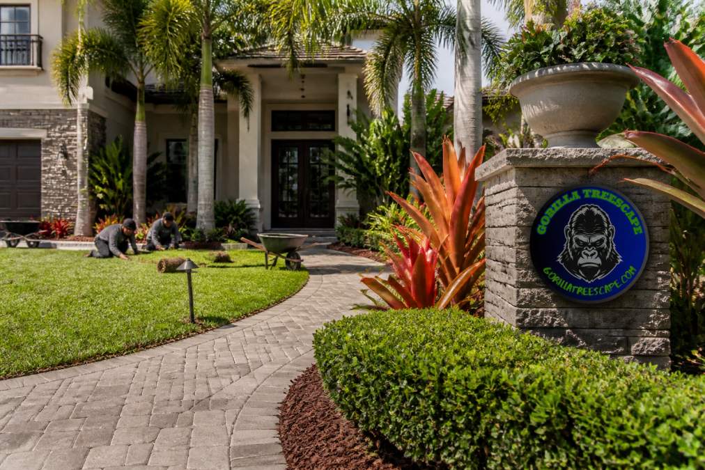 Best Landscape Design for Curb Appeal: 2026 Guide