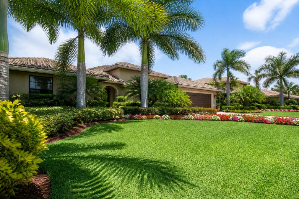 A well-maintained tropical front yard in Miami-Dade with lush green St. Augustine sod, trimmed palm trees, and colorful seasonal flowers, with a suburban home in the background