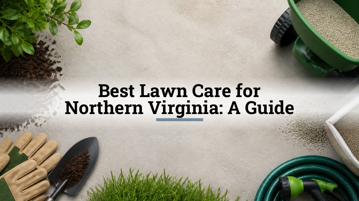 Best Lawn Care for Northern Virginia: A Guide