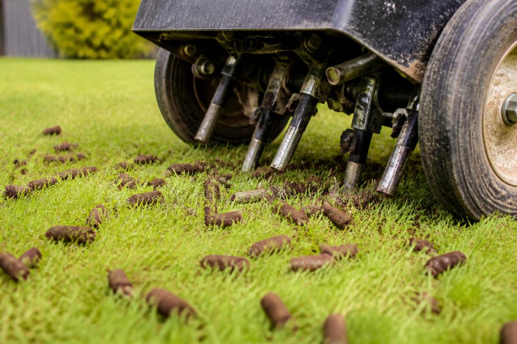Infographic showing the core aeration process using LawnHub products Mackay to create soil plugs in healthy green grass.