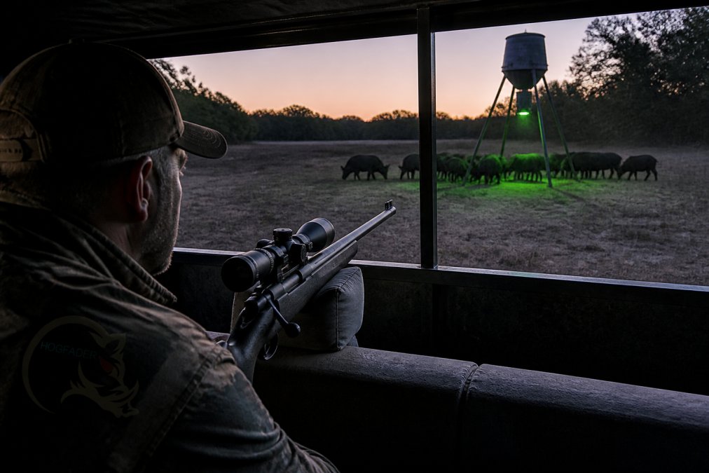 Hunter in a ground blind using the best light for hog hunting at night to watch feral hogs at a feeder.
