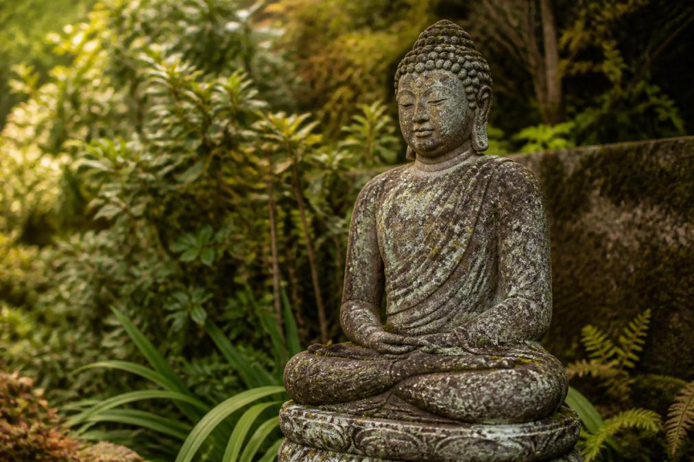 A weathered outdoor Buddha statue in a garden setting showing patina and natural aging, with surrounding plants and natural light highlighting surface texture