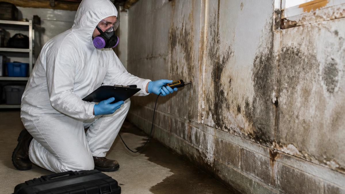 IICRC-certified technician in full protective gear conducting mold inspection in residential basement with visible moisture damage on drywall and concrete walls, using moisture meter and documentation equipment