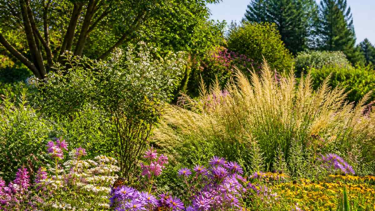 Lush native garden in full bloom with layered plantings of native trees creating a canopy, native shrubs in the middle layer, ornamental grasses swaying in afternoon light, and colorful native flowering plants in the foreground with butterflies and bees actively visiting blooms