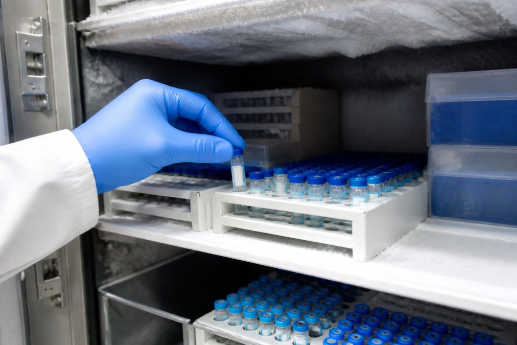 Close-up of gloved hands carefully placing a sealed, labeled research vial into an organized rack inside a laboratory freezer, with multiple vials arranged by batch number under cold fluorescent lighting