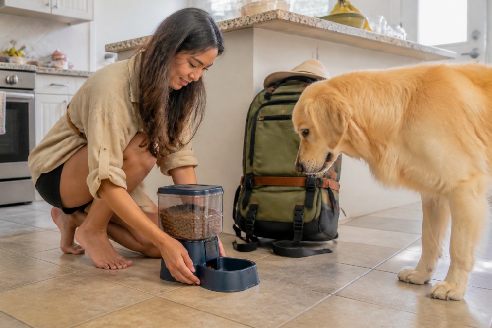 Pet parent setting up a gravity pet feeder for travel as a golden retriever watches in a bright kitchen.