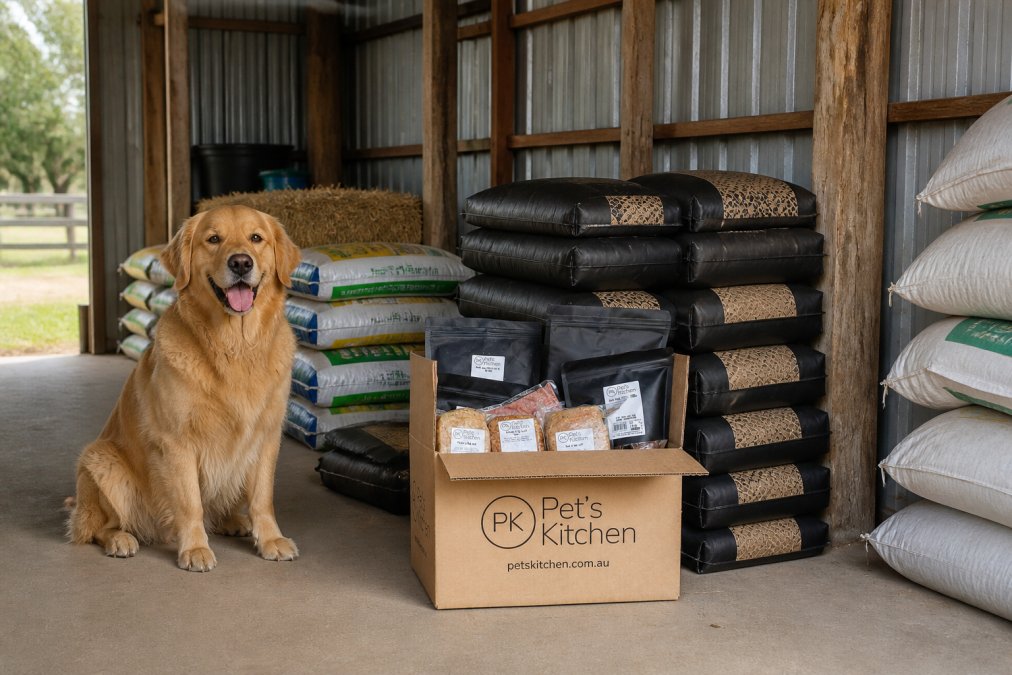 Several large bags of premium pet food stacked neatly in a rural shed or garage alongside farm animal feed, with a golden retriever sitting nearby on a concrete floor