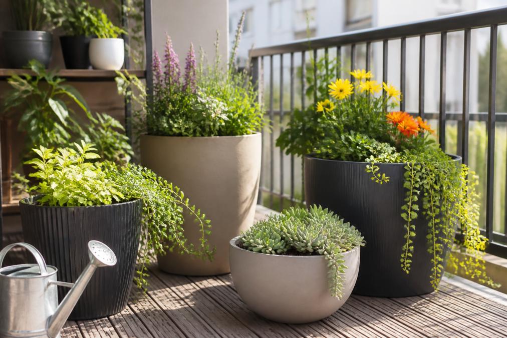 Best Planters for Apartment Balconies