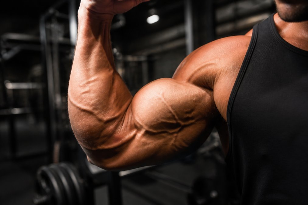 Infographic showing a muscular arm with vascularity to illustrate the physiological effects of pre-workout supplements