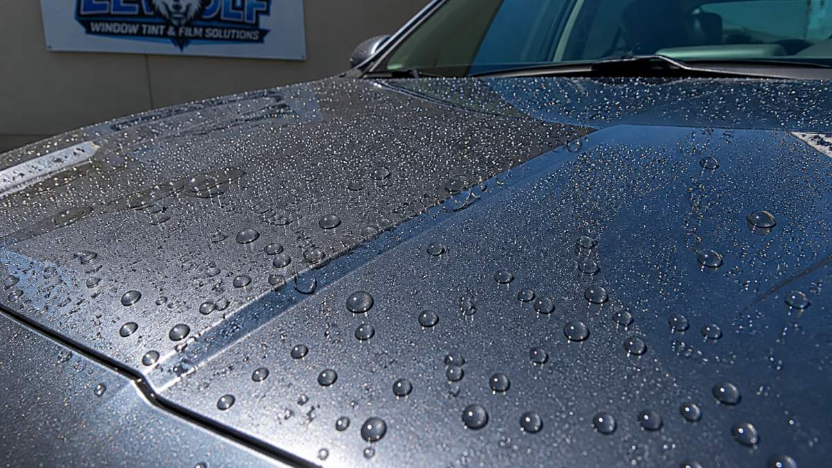 Close-up of a car's hood showing a freshly applied protective coating with water beading on the surface, demonstrating hydrophobic properties in bright sunlight