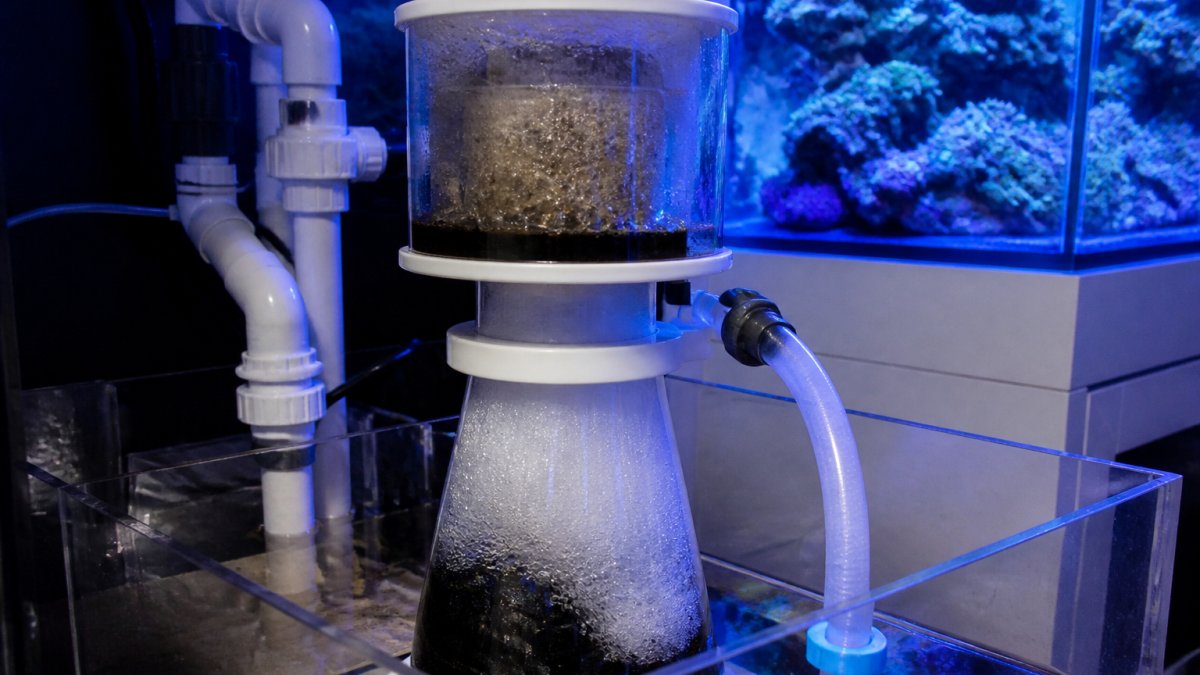 Diagram showing the operational process of a protein skimmer removing organic waste from aquarium water